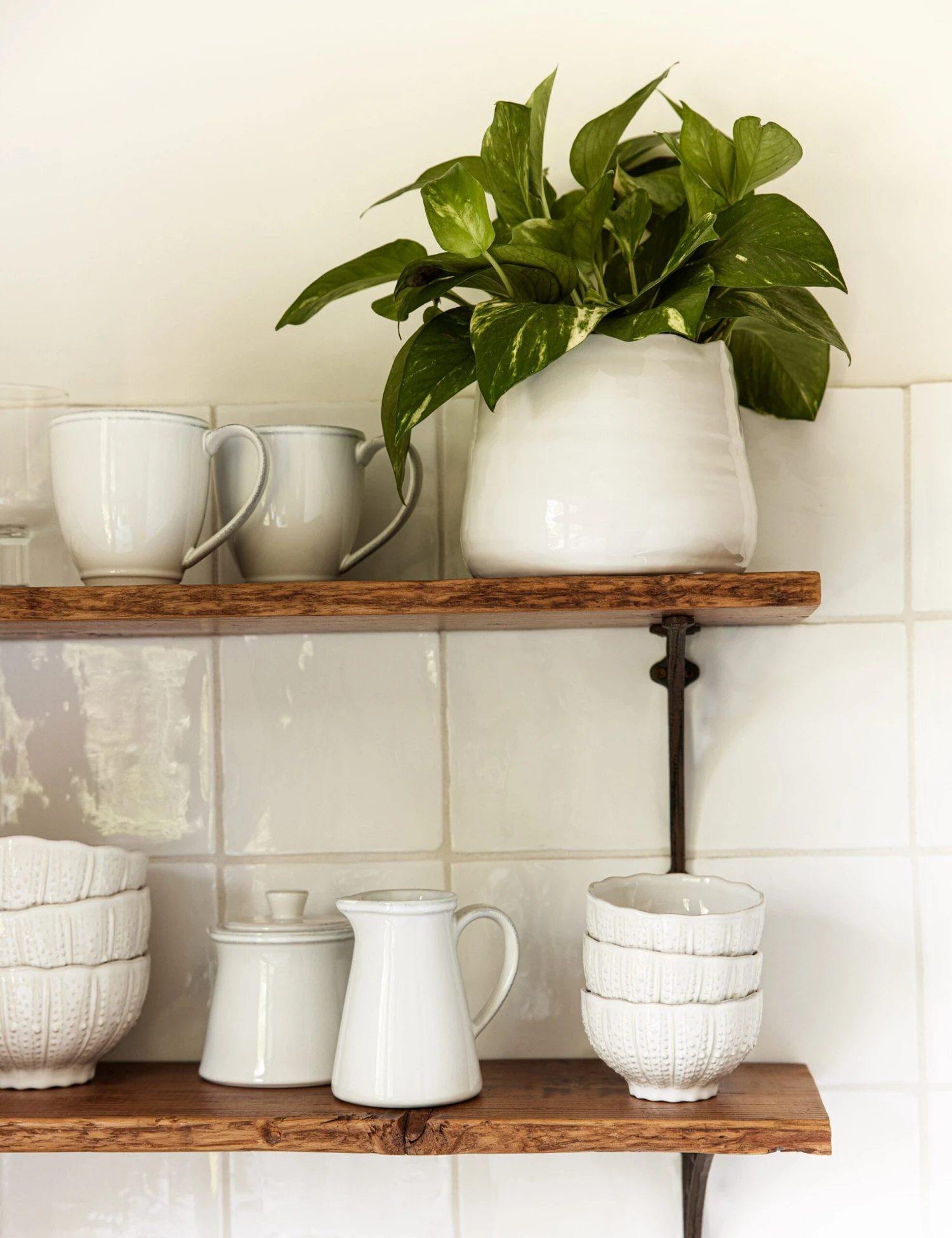 Aparte Cereal Bowl By Costa Nova 4 Aparte Cereal Bowl By Costa Nova - Image 2